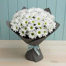 Букет цветов из:  Хризантемы в Петровске