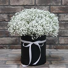 Цветочная композиция из Гипсофила в шляпной коробке в Петровске